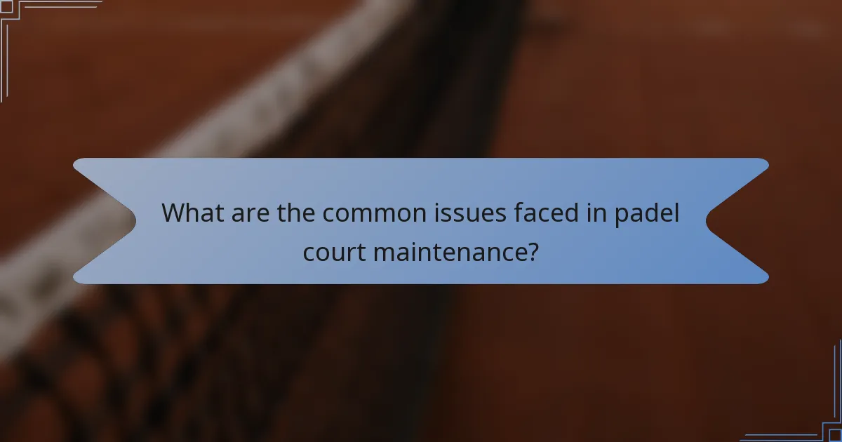What are the common issues faced in padel court maintenance?